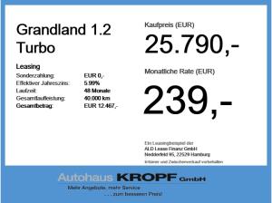 Opel Grandland 1.2 Turbo ACC+Alcantara+LED+Navi+SHZ