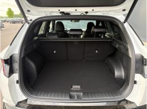 Hyundai TUCSON 1.6 N Line X/Assistenz-Paket/Automatik/LED/Navi/Sitzheizung