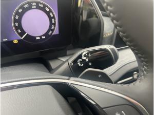 Skoda Kodiaq (PS)