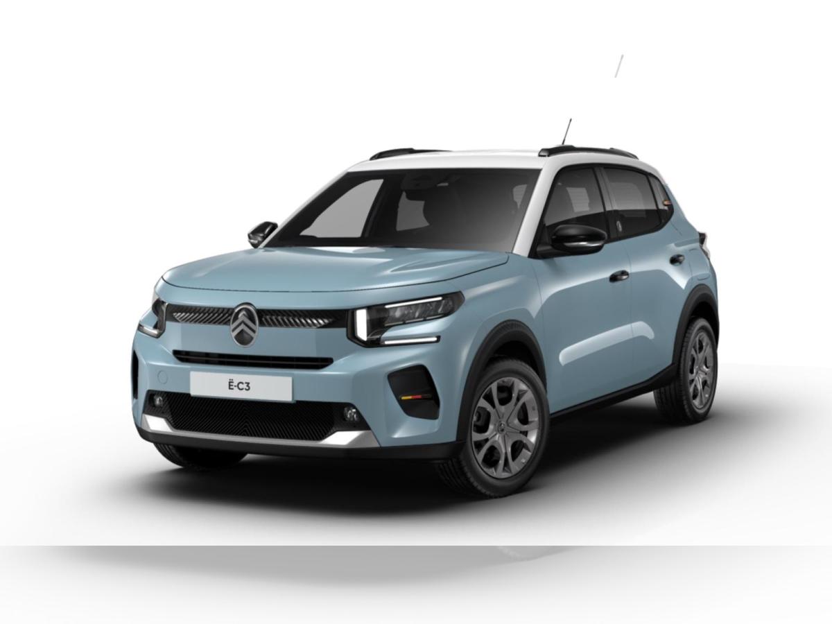 Citroën C3 Elektromotor 113 Standard-Range Team D