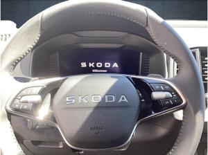 Skoda Karoq Tour 2.0l TDI DSG AHK/NAVI/ACC/RFK/PDC