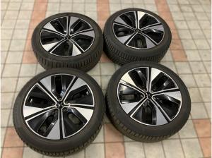 Polestar 2 SHZ/PDC/KAMERA/PANO *SOFORT*