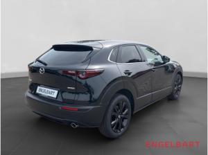 Mazda CX-30 Homura 2WD HUD Navi LED ACC El. Heckklappe Apple CarPlay Android Auto Klimaautom