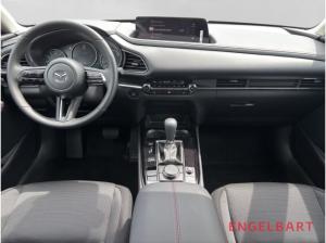 Mazda CX-30 Homura 2WD HUD Navi LED ACC El. Heckklappe Apple CarPlay Android Auto Klimaautom