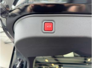 Alfa Romeo Junior Ibrida SPORT SPECIALE PANO WINTER MATRIX