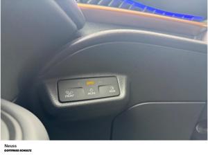 Cupra Tavascan ENDURANCE 77kWh NAVI SITZHEIZUNG EINPARKHILFE LED