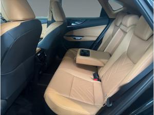 Lexus NX 450h+ Plug-in Business Line 360KAM/LEDER/NAVI