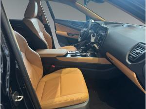 Lexus NX 450h+ Plug-in Business Line 360KAM/LEDER/NAVI