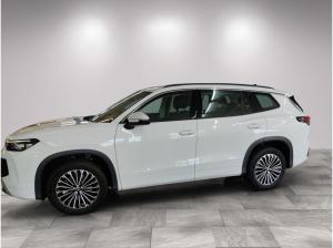 Volkswagen Tayron Life 2.0 TDI AHK/Navi/Standhzg/11.30Garantie