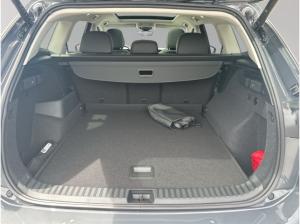 Volkswagen Tayron Elegance 2,0 l TDI SCR 110 kW (150 PS) 7-Gang-Doppelkupplungsgetriebe DSG