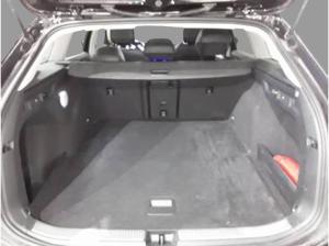 Volkswagen Passat Variant+AHK+360+Alwetter