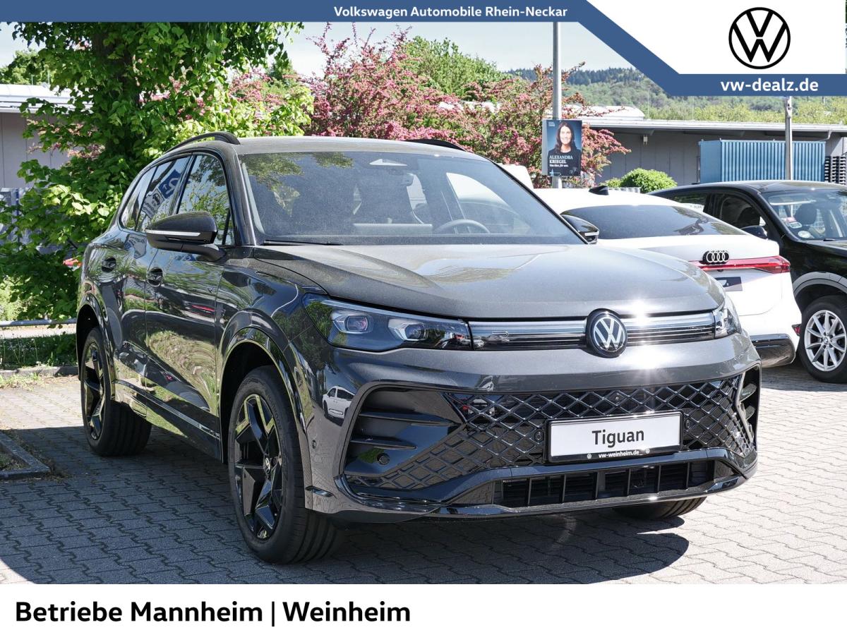 Bild 19