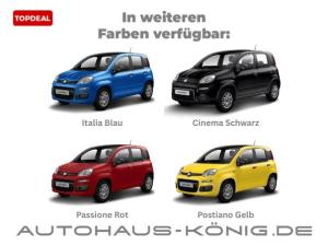 Fiat Panda Citypaket | ***Mit Einparkhilfe❗️*** | Reduzierte Bereitstellungskosten