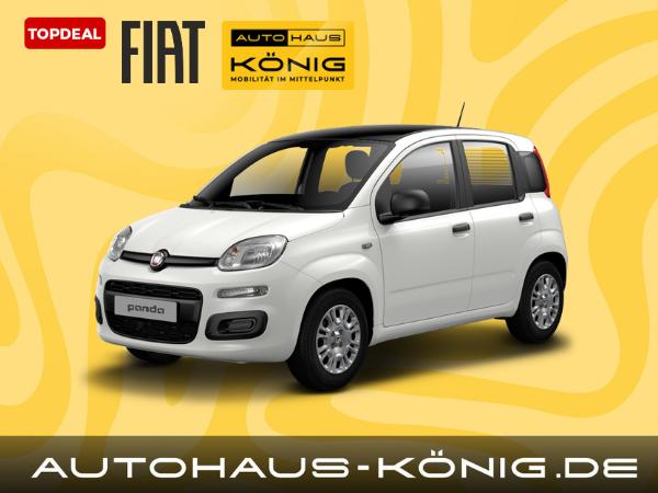 Fiat Panda Citypaket | ***Mit Einparkhilfe❗️*** | Reduzierte Bereitstellungskosten
