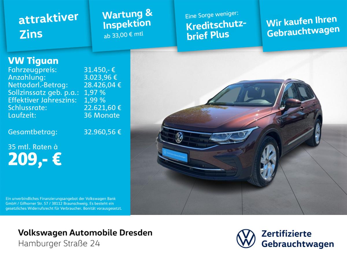 Bild 15