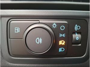 Ford Transit Custom Kasten 320 L1H1 AUTOMATIK , Laderaumschutzpaket,Beif,Airbag...