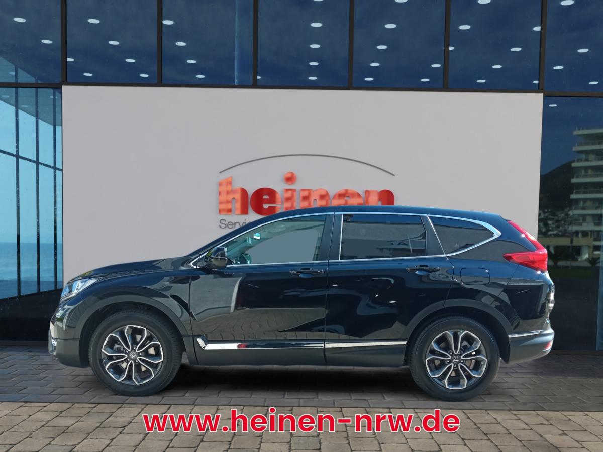 Bild 13