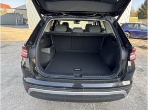 Skoda Kodiaq (PS)