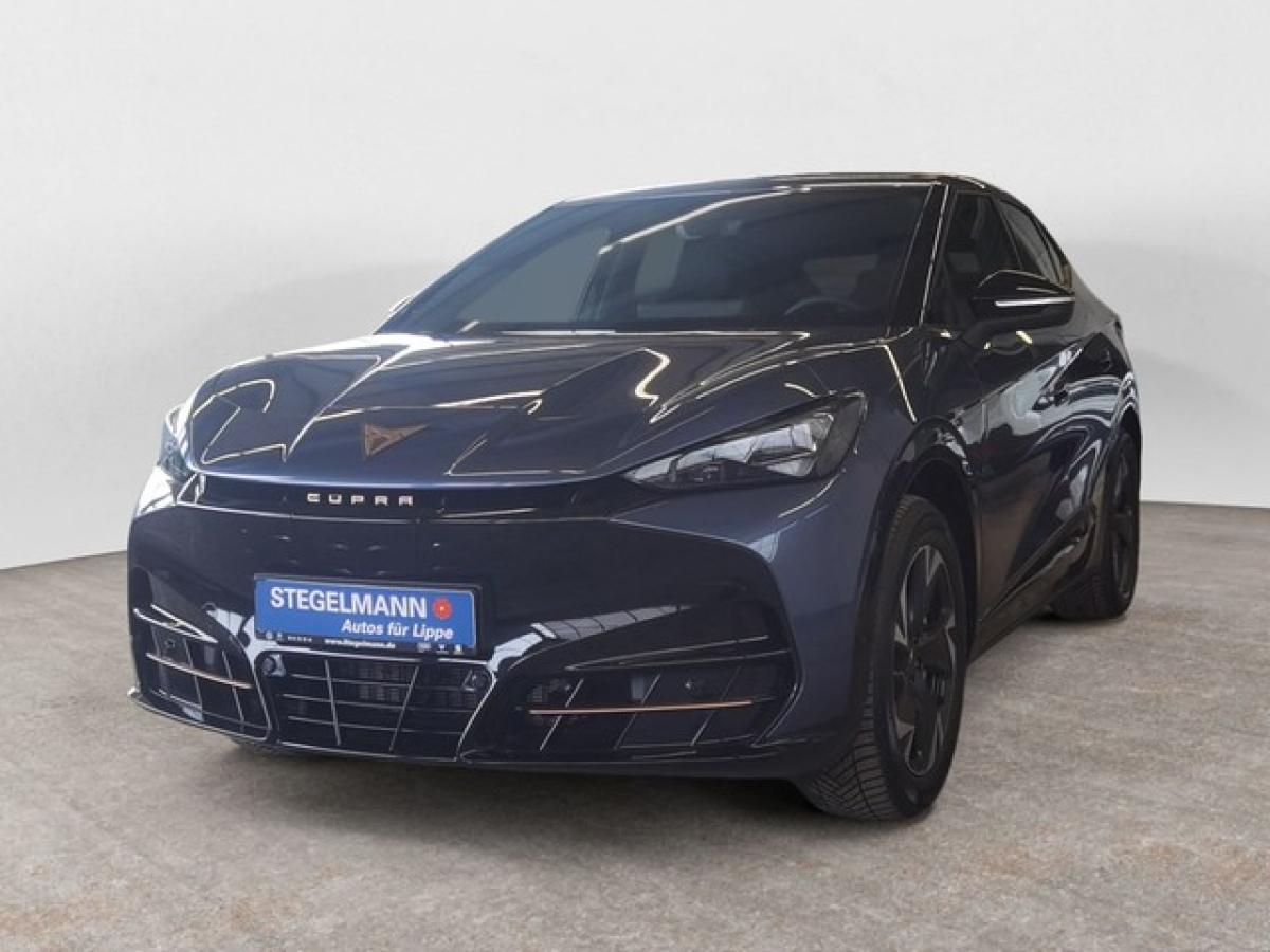 Cupra Tavascan Ganzjahresreifen Drive Pack Rückfahrkamera