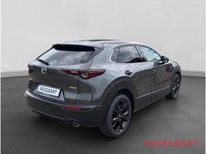 Mazda CX-30 Homura 2WD HUD Navi LED ACC El. Heckklappe Apple CarPlay Android Auto Klimaautom