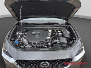 Mazda CX-30 Homura 2WD HUD Navi LED ACC El. Heckklappe Apple CarPlay Android Auto Klimaautom