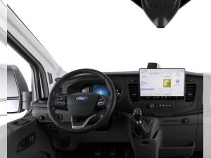 Ford Transit Kasten Hochdach