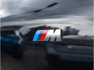 BMW X2 sDrive20i M Sport AHK Pano HuD DA+ H/K PA+ Memory LED