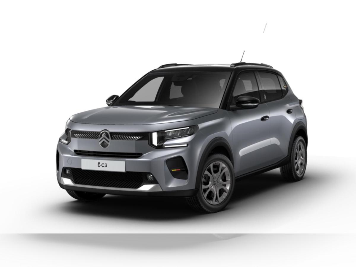 Citroën C3 Elektromotor 113 Standard-Range Team D
