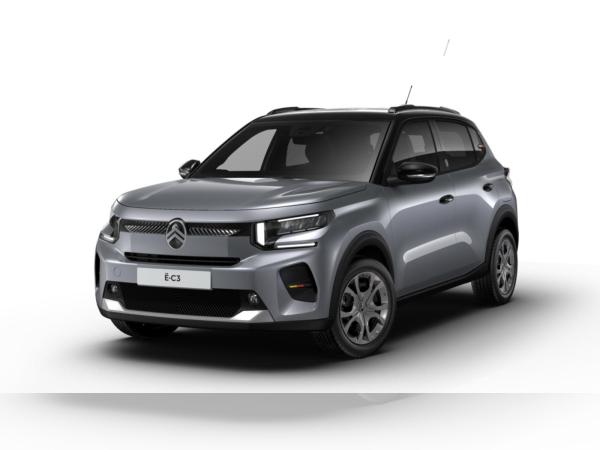 Citroën C3 Elektromotor 113 Standard-Range Team D