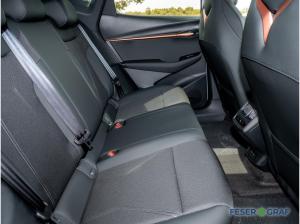 Cupra Tavascan Endurance 77kWh Wärmepumpe