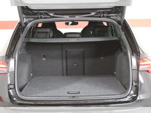 Skoda Octavia Kombi RS | nur Gewerbeleasing -14389