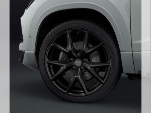 Cupra Ateca 2.0 TSI 7-Gang-DSG 4Drive Businesspaket, Dachhimmel Schwarz, AHK Vorrichtung schwenkb., Fahrassi, Wi