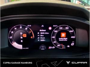 Cupra Terramar 2.0 TSI 7-Gang DSG 4Drive