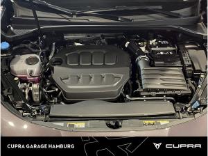 Cupra Terramar 2.0 TSI 7-Gang DSG 4Drive