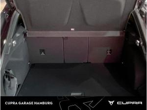Cupra Terramar 2.0 TSI 7-Gang DSG 4Drive