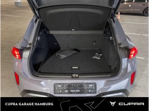 Cupra Terramar VZ 2.0 TSI 7-Gang DSG 4Drive