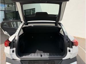 BMW X2 sDrive20i LC PROF+HUD+PAP+DAP+LED+ICONIC GLOW
