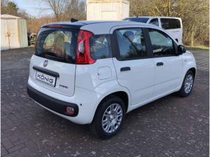 Fiat Panda Citypaket | ***Mit Einparkhilfe❗️*** | Reduzierte Bereitstellungskosten