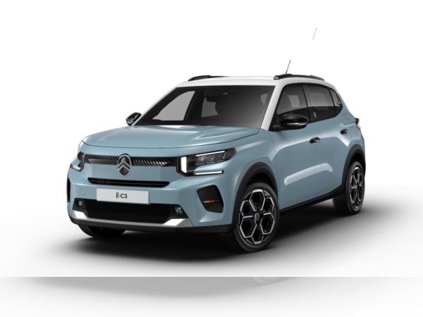 Citroën C3 Elektromotor 113 Standard-Range Team D