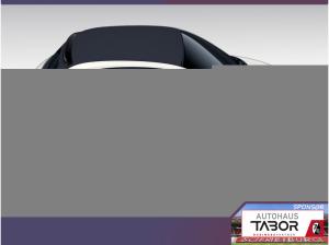 Fiat 500 Cabrio ICON SHZ Kam CarP PDC 16Z DigC Klimaa