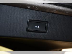 Cupra Tavascan Adrenaline Paket und Anhängerkupplung