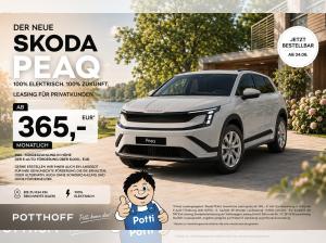 Skoda Peaq SELECTION 90😮‼️NAV ACC KAM WÄRMEP😮‼️