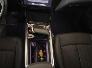 Audi e-tron 55 quattro advanced Panorama