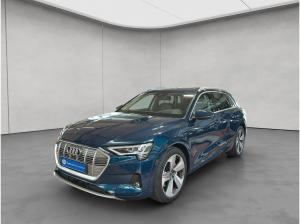 Audi e-tron 55 quattro advanced Panorama