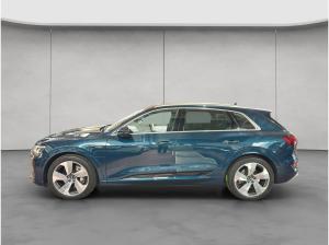 Audi e-tron 55 quattro advanced Panorama