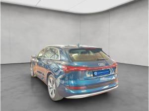 Audi e-tron 55 quattro advanced Panorama