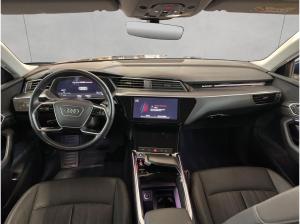 Audi e-tron 55 quattro advanced Panorama