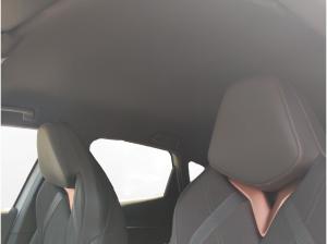 Cupra Tavascan Endurance