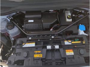 Cupra Tavascan Endurance