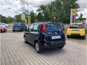 Fiat Panda MY24 1.0 Klima PDC Citypaket